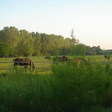 Godewind Whg Gw02 Апартаменты