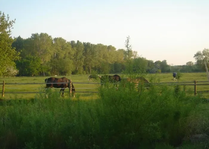 Godewind Whg Gw02 شقة